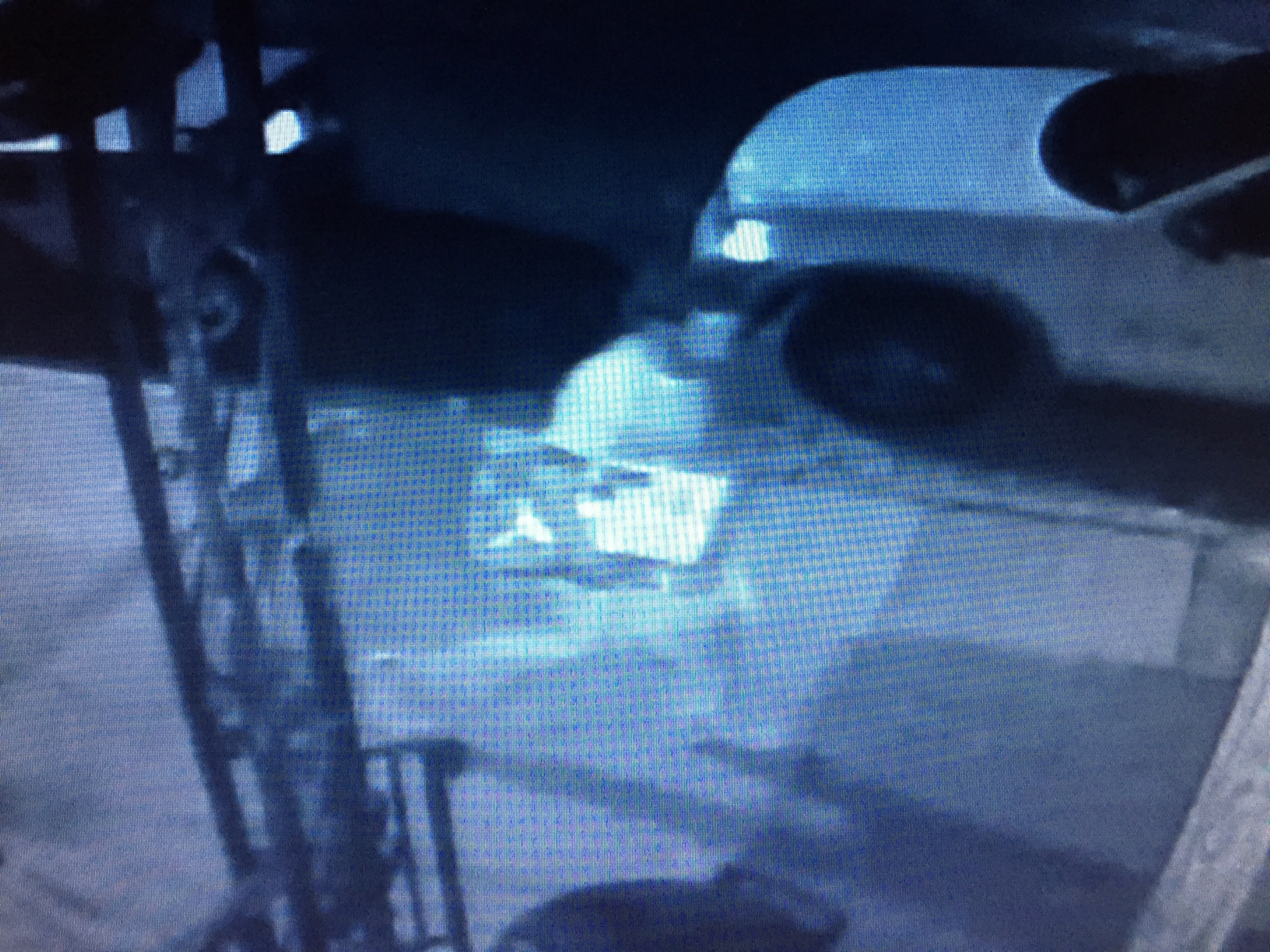 Do you know who this lowlife is..? (video)